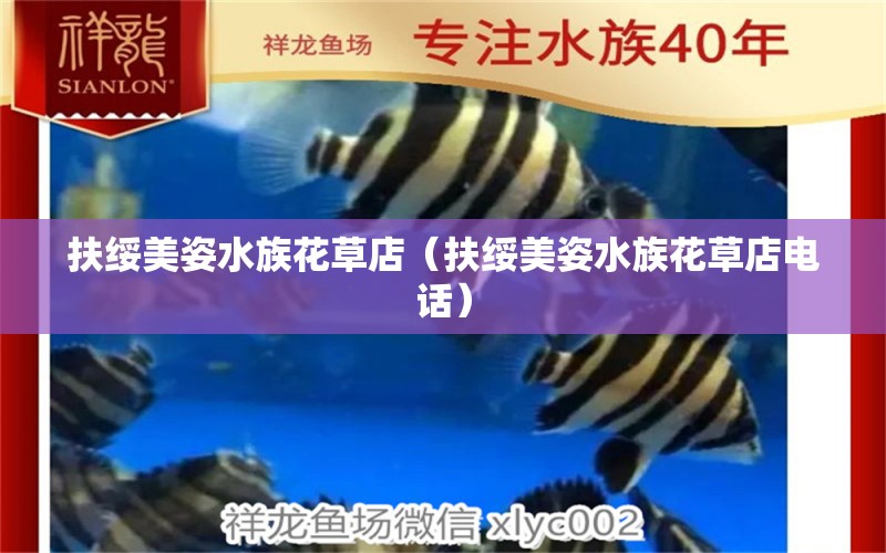 扶綏美姿水族花草店（扶綏美姿水族花草店電話(huà)）