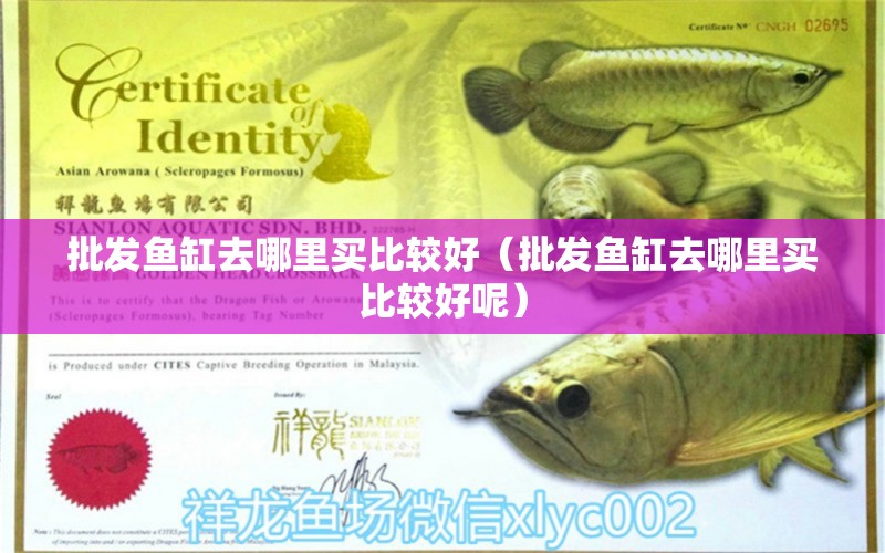 批發(fā)魚缸去哪里買比較好（批發(fā)魚缸去哪里買比較好呢）