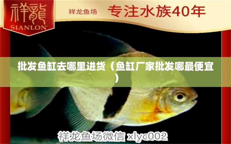 批發(fā)魚缸去哪里進(jìn)貨（魚缸廠家批發(fā)哪最便宜） 錦鯉魚