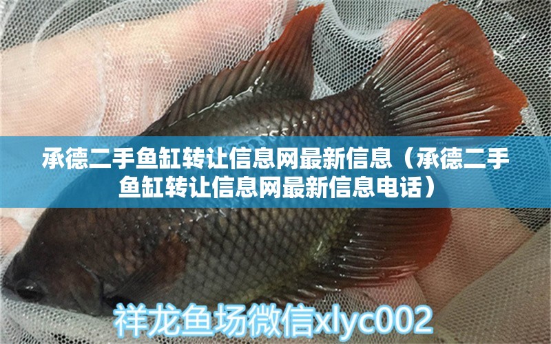 承德二手魚缸轉(zhuǎn)讓信息網(wǎng)最新信息（承德二手魚缸轉(zhuǎn)讓信息網(wǎng)最新信息電話） 觀賞魚市場（混養(yǎng)魚）