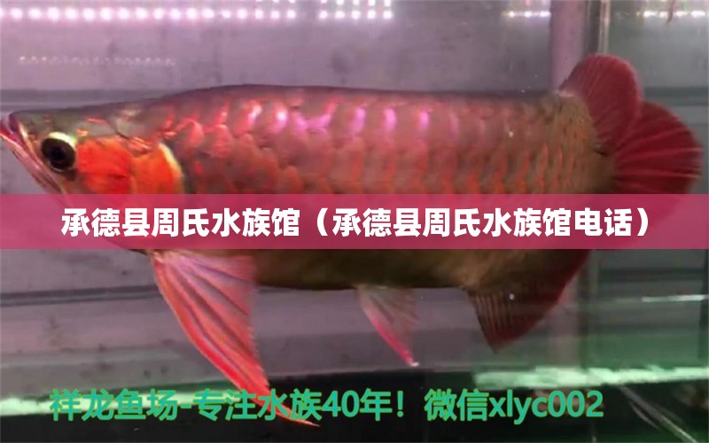 承德縣周氏水族館（承德縣周氏水族館電話） 全國水族館企業(yè)名錄 第1張