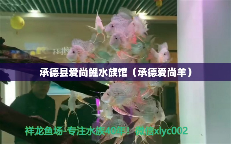 承德縣愛尚鯉水族館（承德愛尚羊）