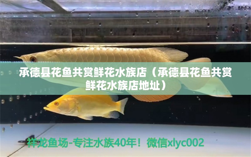 承德縣花魚共賞鮮花水族店（承德縣花魚共賞鮮花水族店地址） 全國水族館企業(yè)名錄