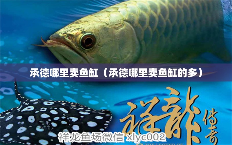 承德哪里賣魚缸（承德哪里賣魚缸的多）