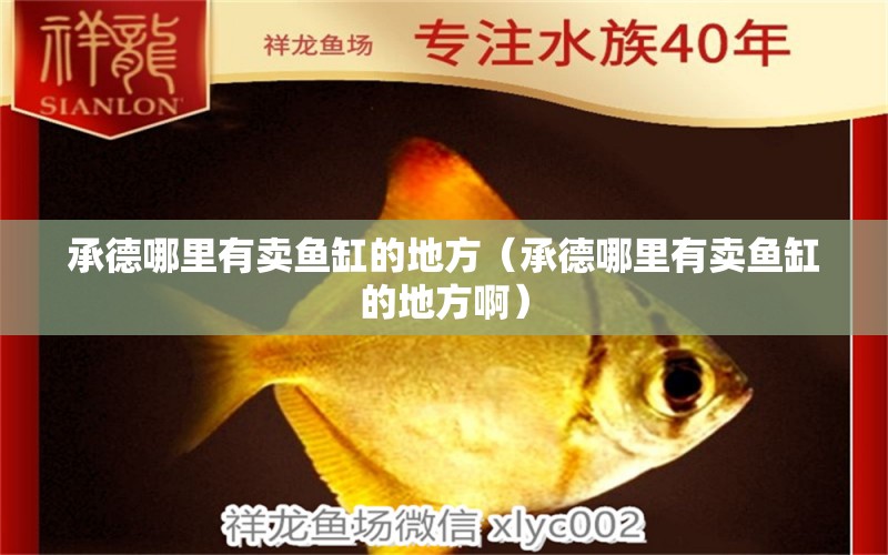 承德哪里有賣魚缸的地方（承德哪里有賣魚缸的地方?。?量子養(yǎng)魚技術(shù)