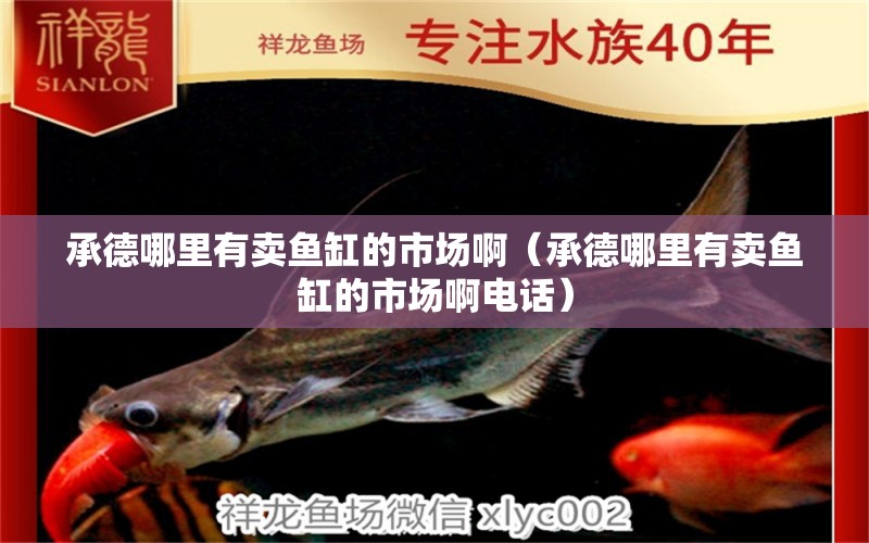 承德哪里有賣魚(yú)缸的市場(chǎng)?。ǔ械履睦镉匈u魚(yú)缸的市場(chǎng)啊電話） 沖氧泵