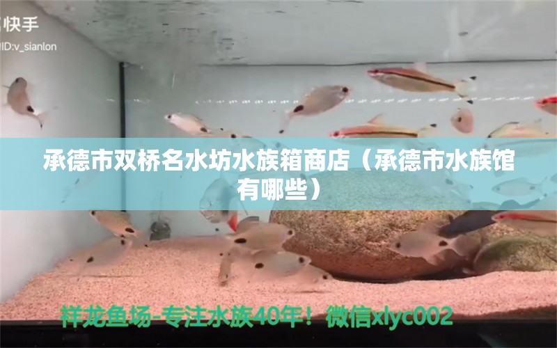 承德市雙橋名水坊水族箱商店（承德市水族館有哪些） 魚缸/水族箱