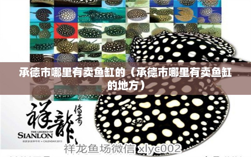 承德市哪里有賣魚缸的（承德市哪里有賣魚缸的地方） 其他品牌魚缸