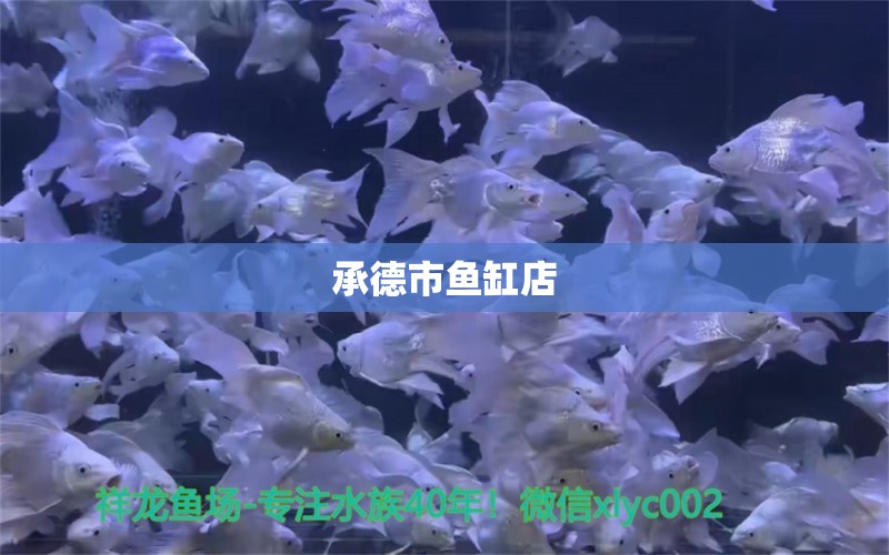 承德市魚缸店 其他品牌魚缸