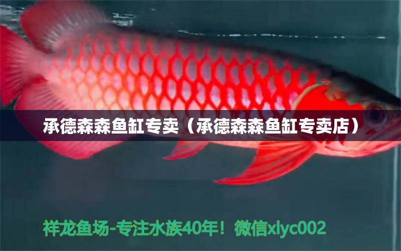 承德森森魚缸專賣（承德森森魚缸專賣店）