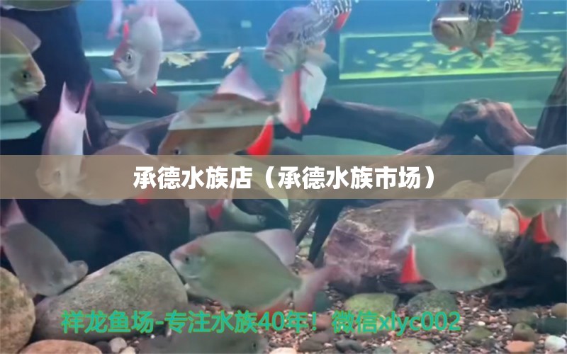 承德水族店（承德水族市場(chǎng)） 觀賞魚市場(chǎng)