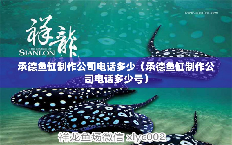 承德魚缸制作公司電話多少（承德魚缸制作公司電話多少號） 祥龍水族醫(yī)院