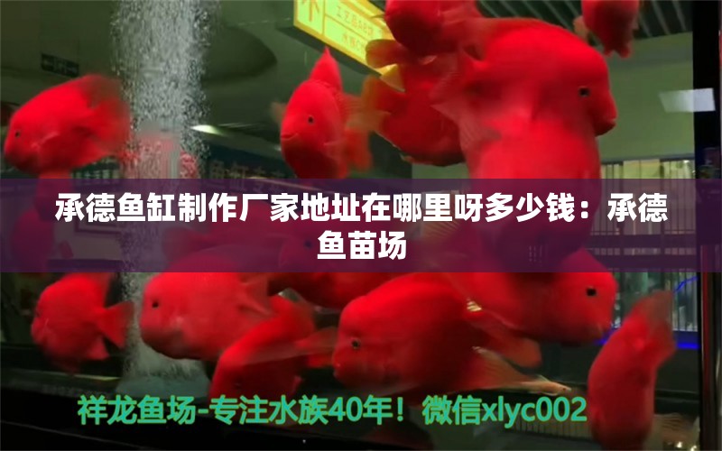 承德魚缸制作廠家地址在哪里呀多少錢：承德魚苗場 廣州水族批發(fā)市場