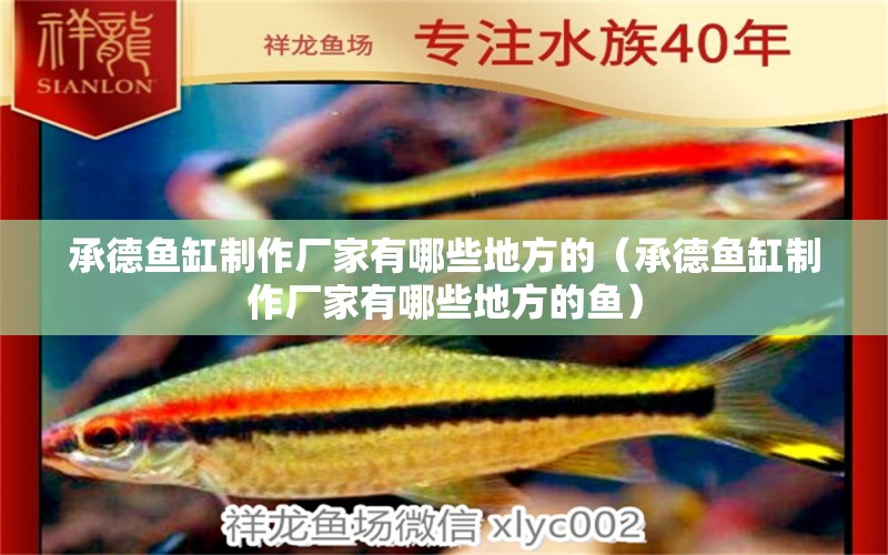 承德魚缸制作廠家有哪些地方的（承德魚缸制作廠家有哪些地方的魚）