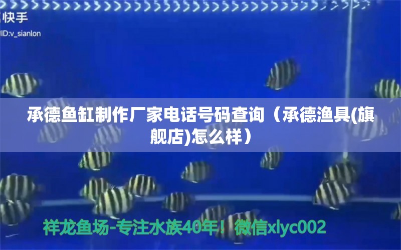 承德魚(yú)缸制作廠家電話號(hào)碼查詢(xún)（承德漁具(旗艦店)怎么樣）