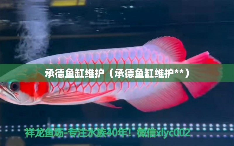 承德魚缸維護(hù)（承德魚缸維護(hù)**） 祥龍水族醫(yī)院