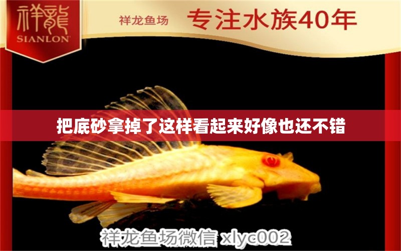 把底砂拿掉了這樣看起來(lái)好像也還不錯(cuò) 狗頭魚(yú)