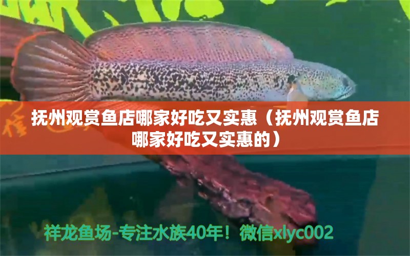 撫州觀賞魚店哪家好吃又實(shí)惠（撫州觀賞魚店哪家好吃又實(shí)惠的）