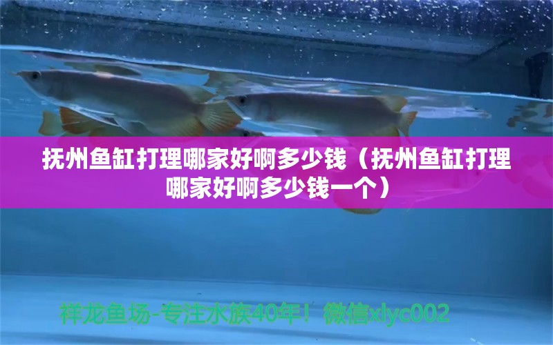 撫州魚缸打理哪家好啊多少錢（撫州魚缸打理哪家好啊多少錢一個） 祥龍水族醫(yī)院