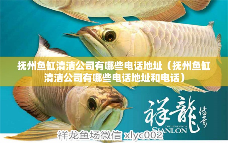 撫州魚(yú)缸清潔公司有哪些電話地址（撫州魚(yú)缸清潔公司有哪些電話地址和電話） 孵化器