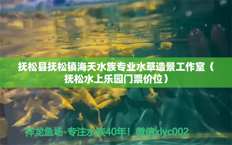 撫松縣撫松鎮(zhèn)海天水族專業(yè)水草造景工作室（撫松水上樂園門票價(jià)位）