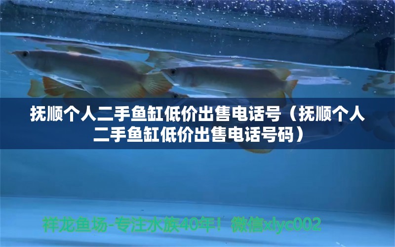 撫順個(gè)人二手魚缸低價(jià)出售電話號(hào)（撫順個(gè)人二手魚缸低價(jià)出售電話號(hào)碼） 帝王三間魚