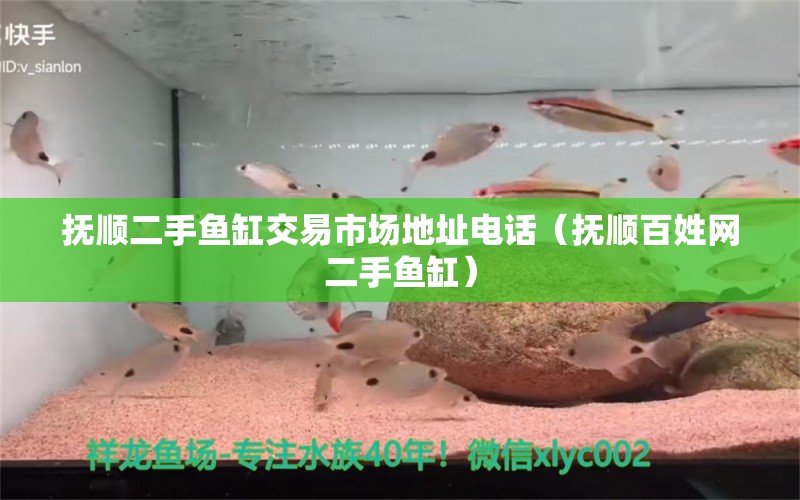 撫順二手魚缸交易市場(chǎng)地址電話（撫順百姓網(wǎng)二手魚缸）