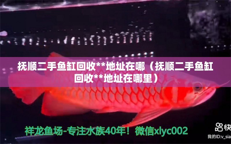 撫順二手魚缸回收**地址在哪（撫順二手魚缸回收**地址在哪里）