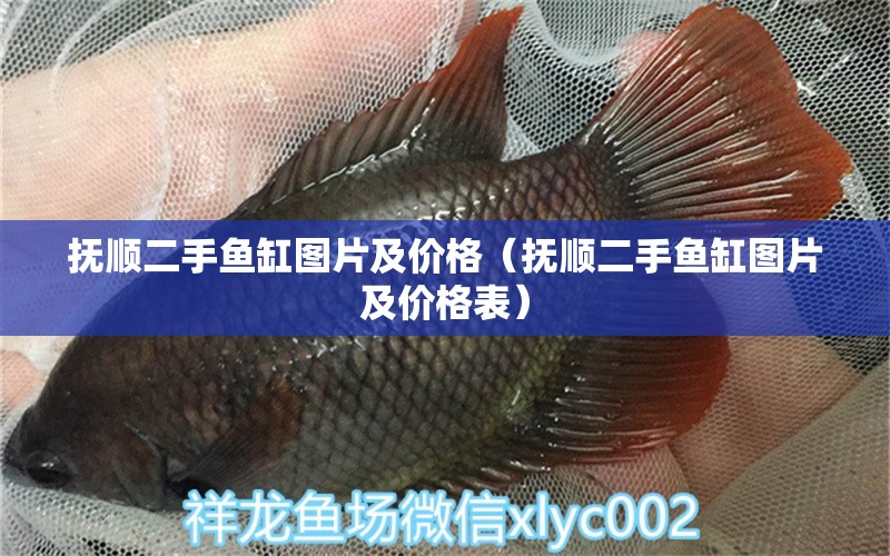 撫順二手魚缸圖片及價格（撫順二手魚缸圖片及價格表） 其他品牌魚缸