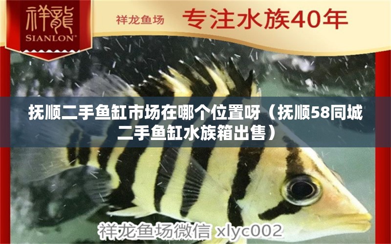 撫順二手魚缸市場在哪個位置呀（撫順58同城二手魚缸水族箱出售） 魚缸/水族箱