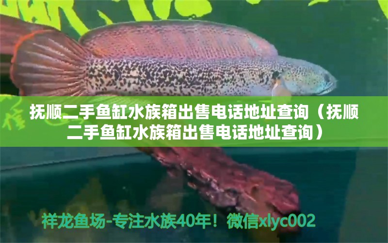 撫順二手魚缸水族箱出售電話地址查詢（撫順二手魚缸水族箱出售電話地址查詢）