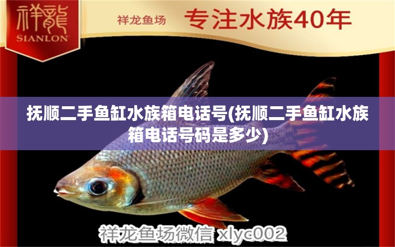 撫順二手魚(yú)缸水族箱電話(huà)號(hào)(撫順二手魚(yú)缸水族箱電話(huà)號(hào)碼是多少) 魚(yú)缸/水族箱