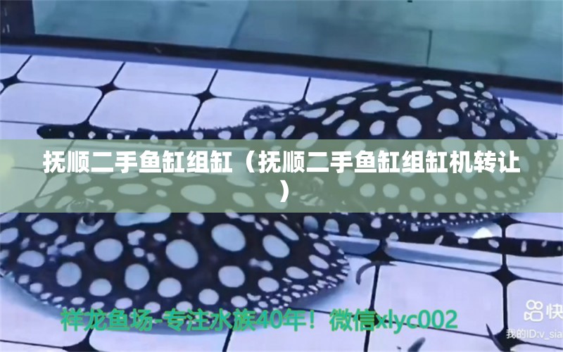 撫順二手魚缸組缸（撫順二手魚缸組缸機轉讓） 其他品牌魚缸