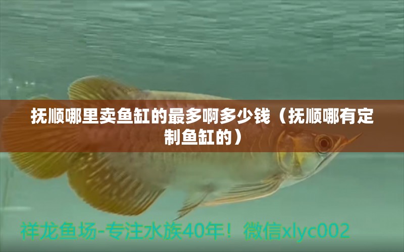 撫順哪里賣魚缸的最多啊多少錢（撫順哪有定制魚缸的）