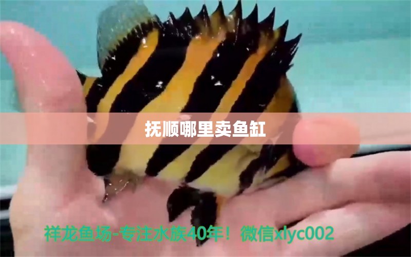 撫順哪里賣魚缸 其他品牌魚缸