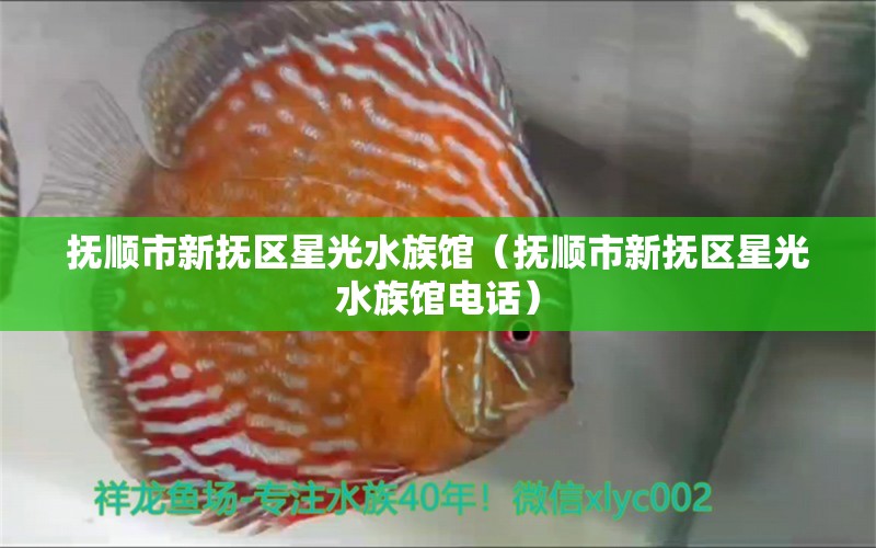 撫順市新?lián)釁^(qū)星光水族館（撫順市新?lián)釁^(qū)星光水族館電話） 全國水族館企業(yè)名錄