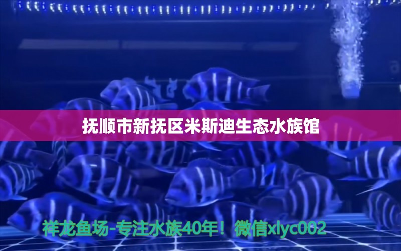 撫順市新?lián)釁^(qū)米斯迪生態(tài)水族館 全國水族館企業(yè)名錄