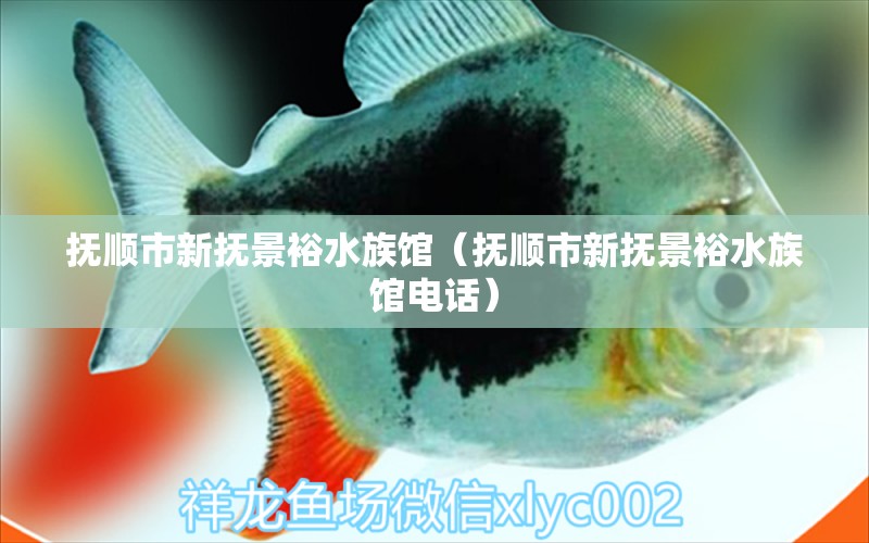 撫順市新?lián)峋霸Ｋ屦^（撫順市新?lián)峋霸Ｋ屦^電話） 全國水族館企業(yè)名錄