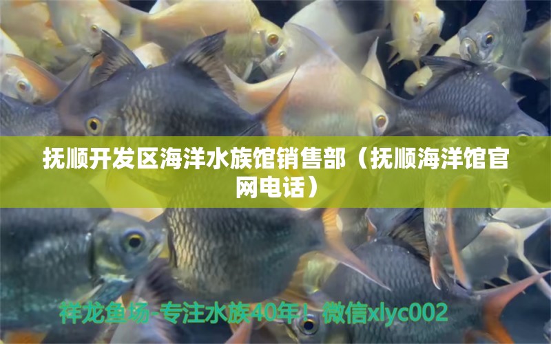 撫順開發(fā)區(qū)海洋水族館銷售部（撫順海洋館官網(wǎng)電話）