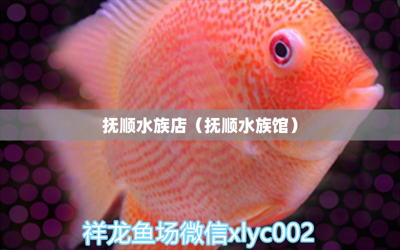 撫順?biāo)宓辏〒犴標(biāo)屦^） 觀賞魚市場