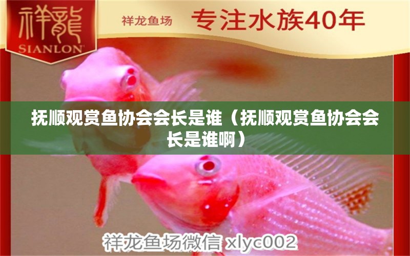 撫順觀賞魚協(xié)會會長是誰（撫順觀賞魚協(xié)會會長是誰?。? title=