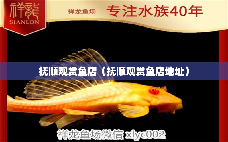 撫順觀(guān)賞魚(yú)店（撫順觀(guān)賞魚(yú)店地址） 觀(guān)賞魚(yú)市場(chǎng)