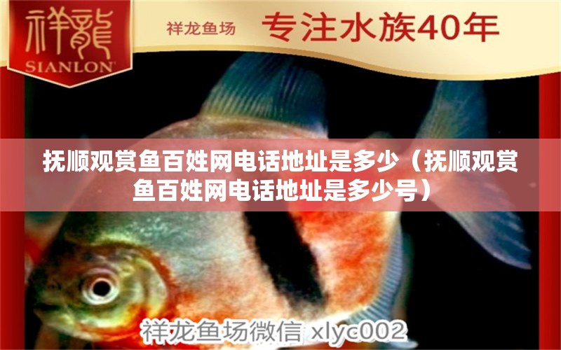 撫順觀賞魚(yú)百姓網(wǎng)電話地址是多少（撫順觀賞魚(yú)百姓網(wǎng)電話地址是多少號(hào)）