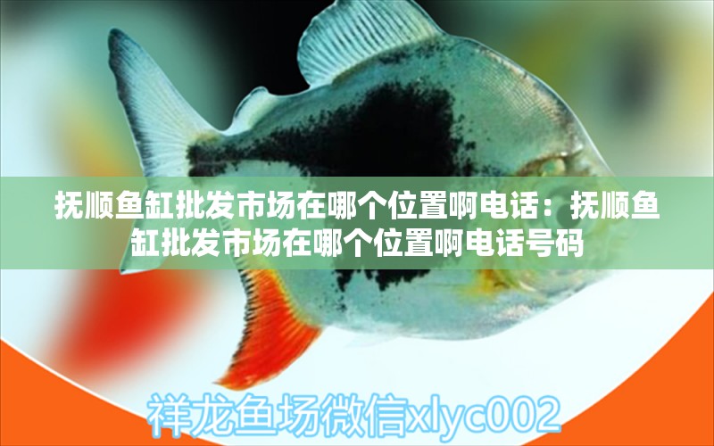 撫順魚缸批發(fā)市場在哪個(gè)位置啊電話：撫順魚缸批發(fā)市場在哪個(gè)位置啊電話號(hào)碼