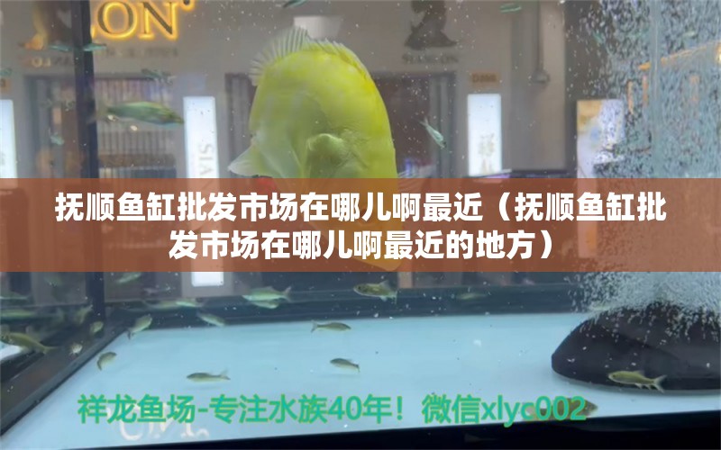 撫順魚缸批發(fā)市場在哪兒啊最近（撫順魚缸批發(fā)市場在哪兒啊最近的地方）