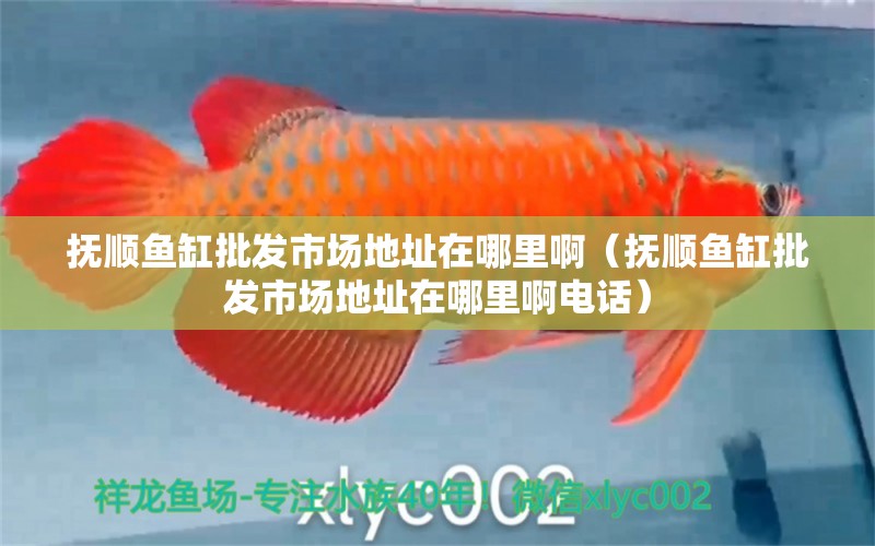 撫順魚缸批發(fā)市場地址在哪里啊（撫順魚缸批發(fā)市場地址在哪里啊電話）