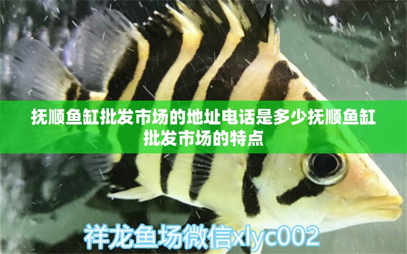 撫順魚缸批發(fā)市場的地址電話是多少撫順魚缸批發(fā)市場的特點(diǎn)