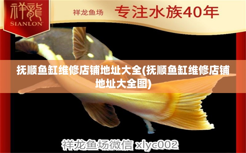 撫順魚(yú)缸維修店鋪地址大全(撫順魚(yú)缸維修店鋪地址大全圖) PH調(diào)節(jié)劑