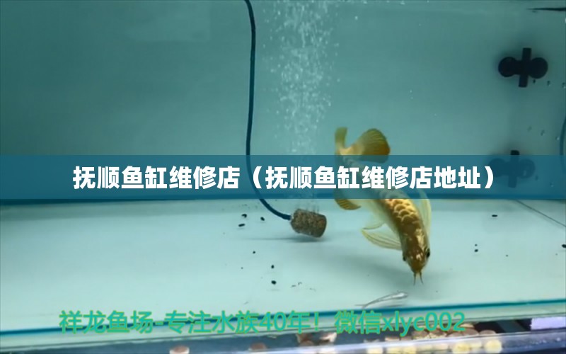 撫順魚(yú)缸維修店（撫順魚(yú)缸維修店地址） 其他品牌魚(yú)缸