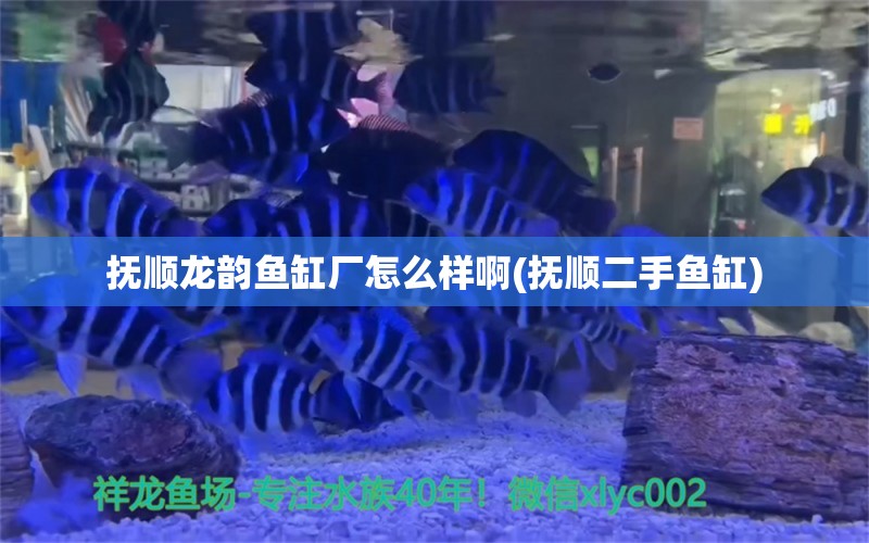 撫順龍韻魚缸廠怎么樣啊(撫順二手魚缸) 大湖紅龍魚